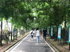 -武汉紫薇都市田园