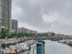-悦海公园