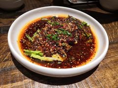 -铁公鸡·四川料理(天环广场店)