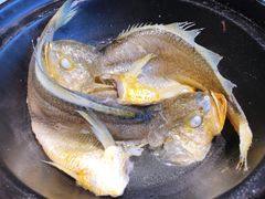 清煲黄花鱼-百味馆·粤菜·湛江菜(后海花园店)