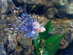 -福州罗源湾海洋世界旅游区