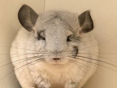 -龙猫仔乐园(惠福东路店)