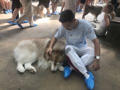 -TrueLove @ Neverland (Husky Cafe)
