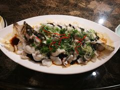 -闻莺馆(柳浪闻莺店)