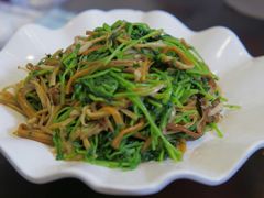 豆苗金针菇-七宝农家菜(七宝老街店)