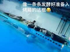 -正佳极地海洋世界