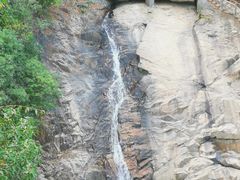 -广州白江湖森林公园