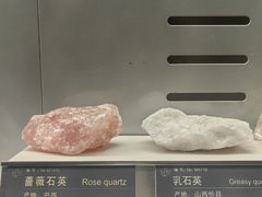 -中国地质博物馆
