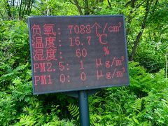 -五营国家森林公园