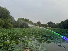 -北陵公园