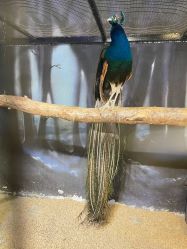 -酷嗒动物文化乐园(cutezoo西溪乐天城店)