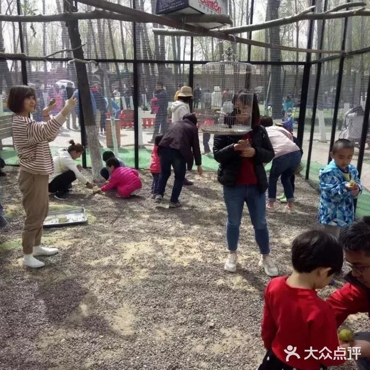 北京遛娃：蓝可可亲子乐园！分分钟想回到小时候！