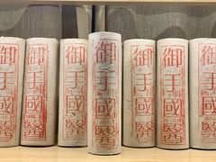 -御手国医·古法经络调理(光华店)