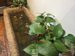 大堂-阿木舂记·特色小吃(平江路店)