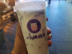 -一只酸奶牛(八一路店)