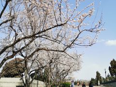 -大雁塔北广场音乐喷泉