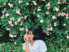 -白鹭湾湿地公园