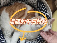 -康成宠物医院24H·CT·核磁共振