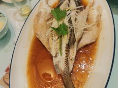 -八珍饺子·烤鸭·家常菜