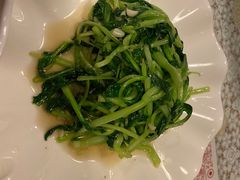 -文三里屯面馆(三里屯店)