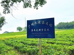 -美的鹭湖森林度假区