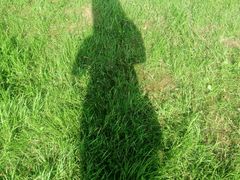 -艾溪湖湿地公园