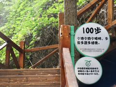 -大岭沟猕猴桃谷风景区