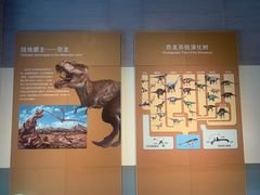 -安徽省地质博物馆