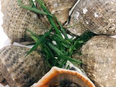 蒸气大海螺-四姑娘川味海鲜(八爪鱼店)