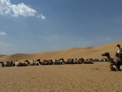 -银肯塔拉沙漠生态旅游景区