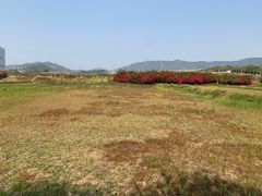 -光明小镇欢乐田园