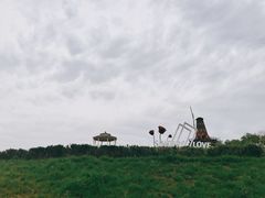 -大塘金香草谷