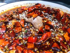 -雲蜀龙阁·金牌水煮鱼(方庄店)