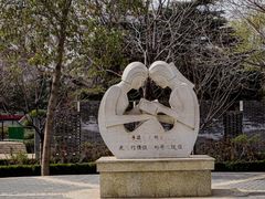 -洛阳市牡丹公园