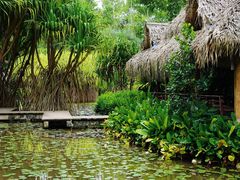 -中国科学院西双版纳热带植物园