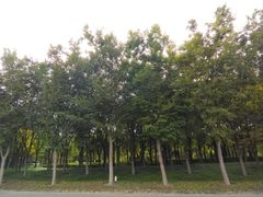 -狼山风景名胜区