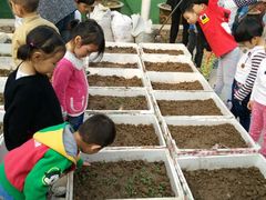 -灞桥十里铺舒克幼儿园