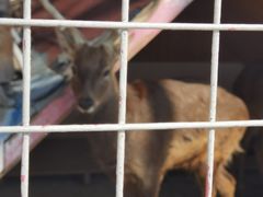 -J Create城市露营咖啡·简餐·宠物(上海动物园店)