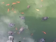 -太平禅寺