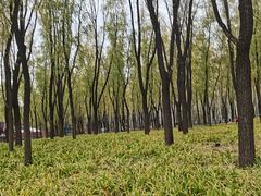 -森林公园(尖草坪区)