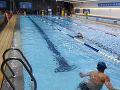 -朱毅育龙游泳俱乐部