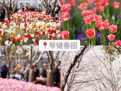 -上海辰山植物园