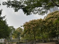 -后襄河公园