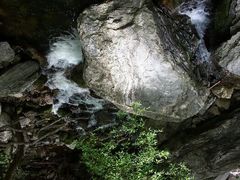 android_upload_pic-少华山国家森林公园