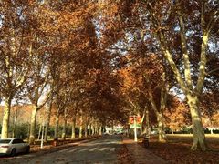 iphone_upload_pic-河南省黄河迎宾馆