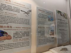 -辽宁古生物博物馆