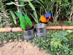 -南宫五洲植物乐园