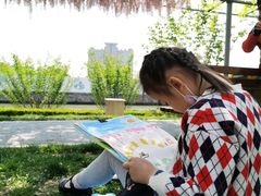 -嘉定紫藤园