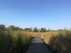 -梁鸿国家湿地公园