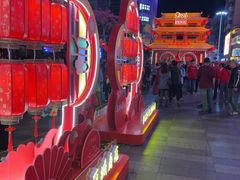 -越秀西湖花市(广州城市广场花卉店)